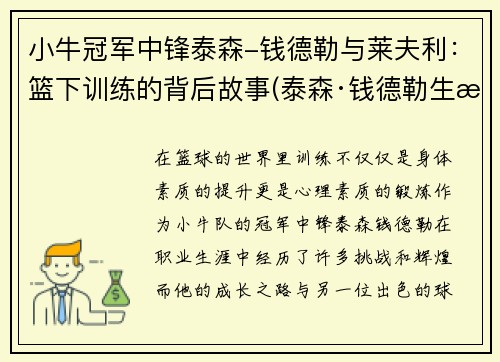 小牛冠军中锋泰森-钱德勒与莱夫利：篮下训练的背后故事(泰森·钱德勒生涯薪金)