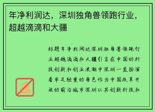 年净利润达，深圳独角兽领跑行业，超越滴滴和大疆